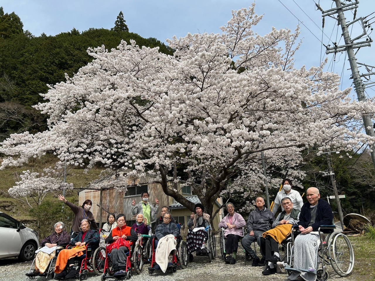  お花見２０２５